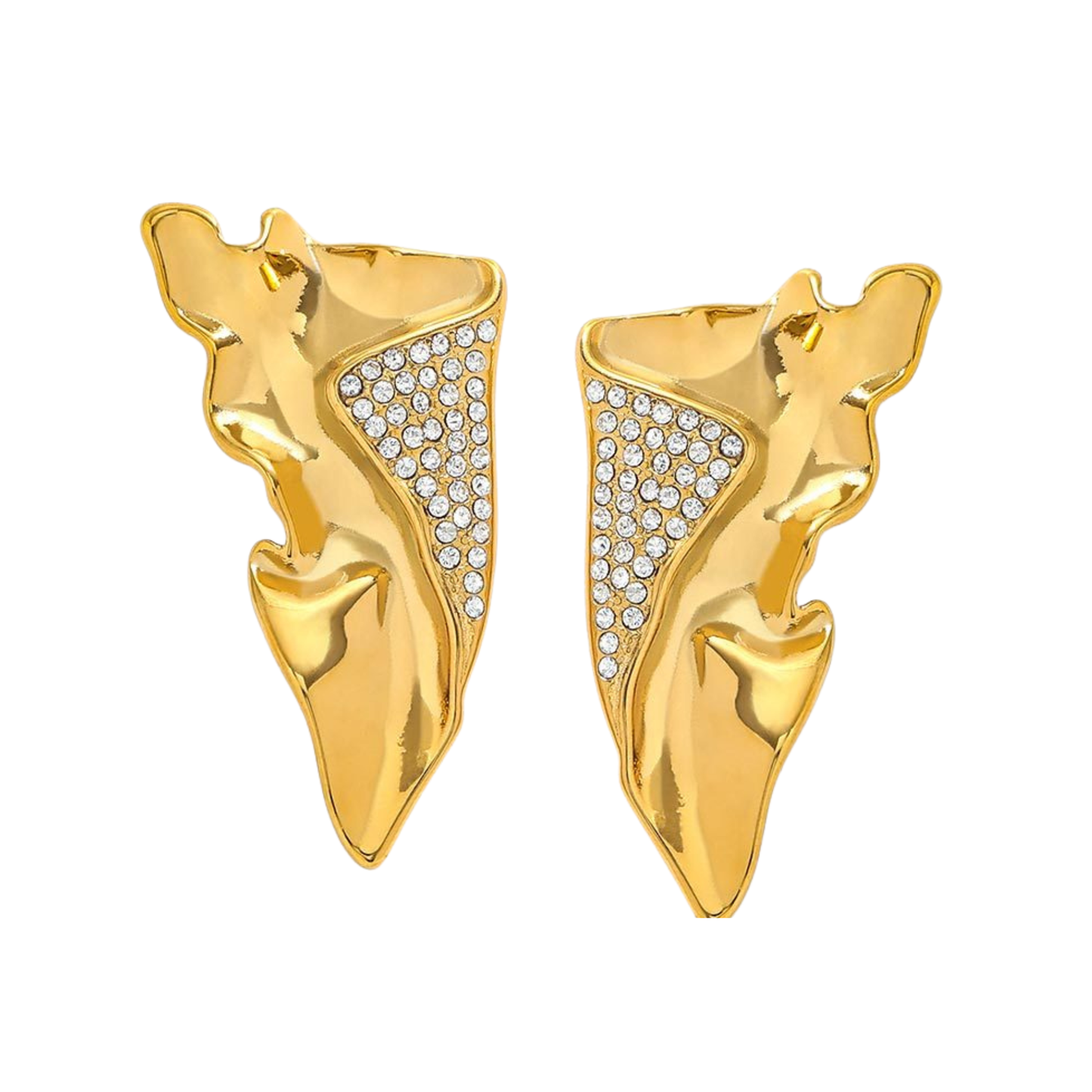Large Wings Earrings
